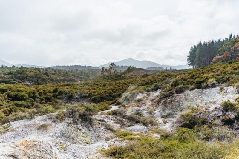 Rotorua: Wai-O-Tapu Geothermal Park Entry Ticket - An Inside Look at Wai-O-Tapu: What’s Involved