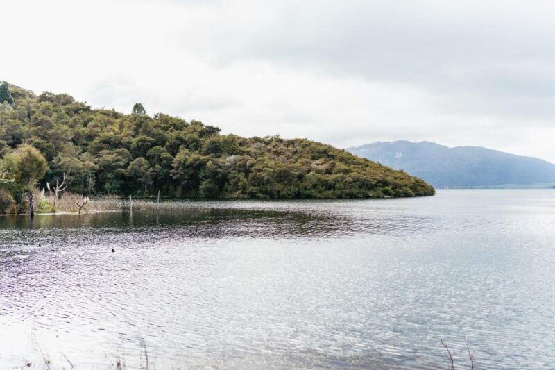 Rotorua: Waimangu Volcanic Valley Ticket & Self-Guided Walk - Key Points