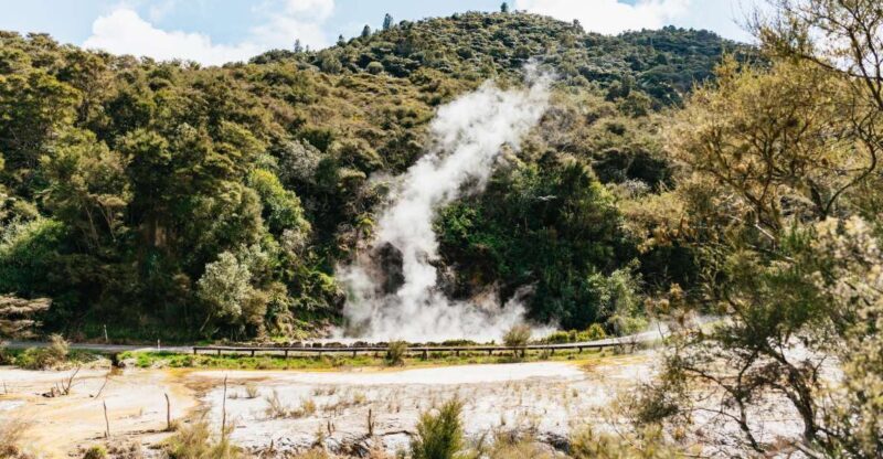 Rotorua: Waimangu Volcanic Valley Ticket & Self-Guided Walk - Introduction: Why Waimangu Volcanic Valley is a Must-Visit