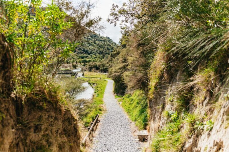Rotorua: Waimangu Volcanic Valley Ticket & Self-Guided Walk - Price and Value: Is It Worth It?