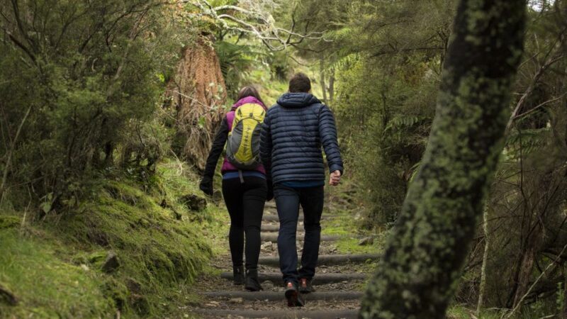 Rotorua: Waimangu Volcanic Valley Ticket & Self-Guided Walk - Practical Tips for Your Visit