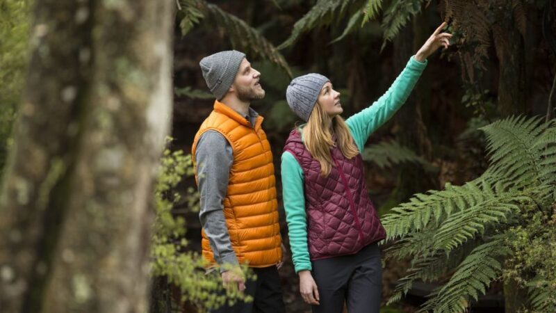 Rotorua: Waimangu Volcanic Valley Ticket & Self-Guided Walk - The Sum Up: Is the Waimangu Volcanic Valley Self-Guided Tour a Good Choice?