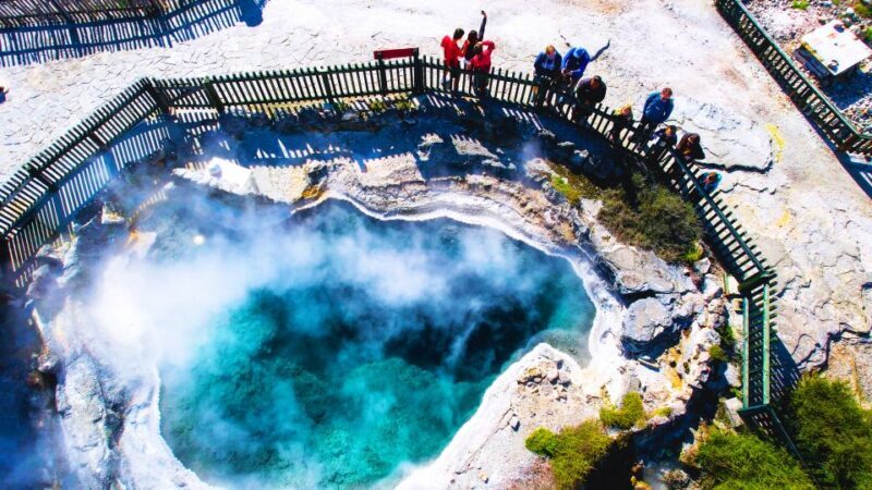 Rotorua: Whakarewarewa Village Guided Tour - What Reviewers Say