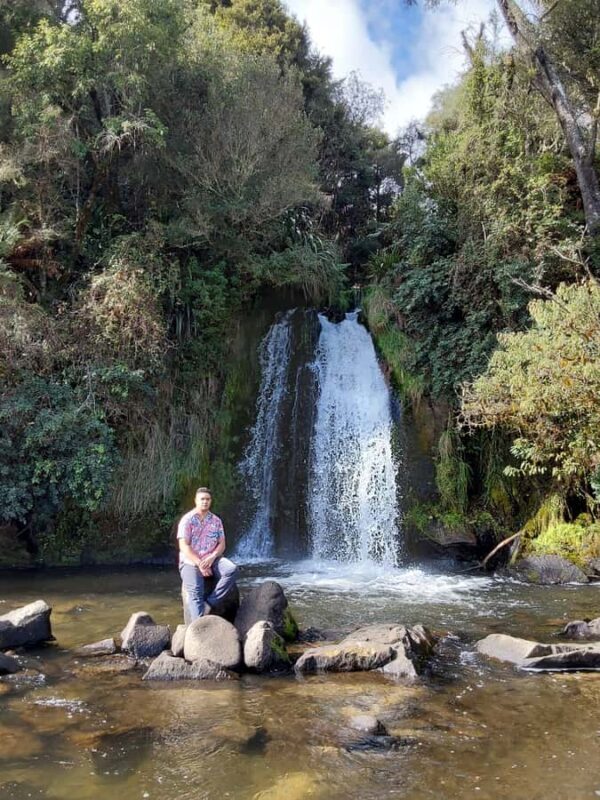 Rotorua (:) Whirinaki Forest Day & Night Walking With Us - Lunch and Cultural Rejuvenation
