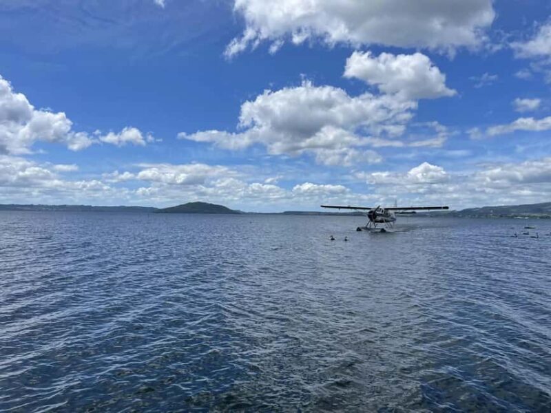 Rotorua: White Island, Mount Tarawera & Waimangu Volcanic - An Overview of the Experience