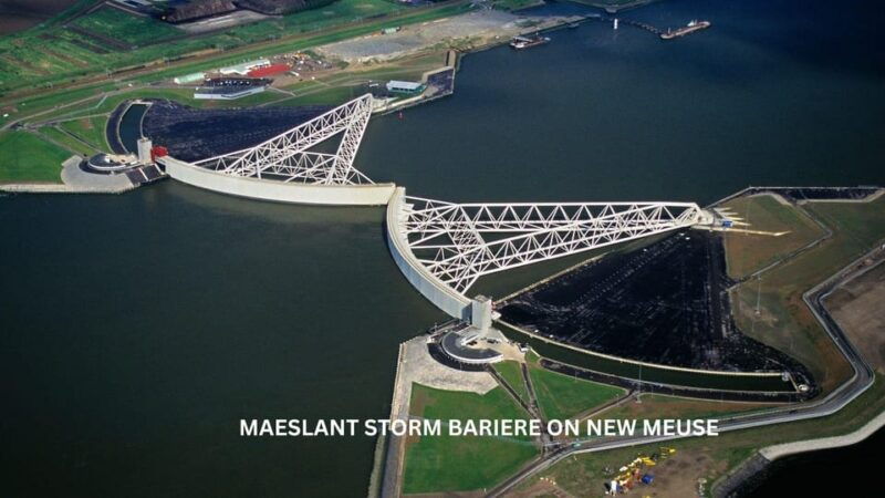 rotterdam-and-kinderdijk-daily-walking-and-boat-tour