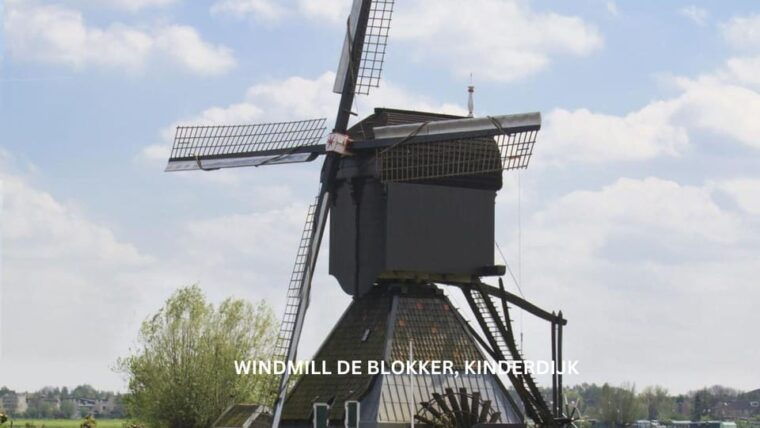 rotterdam-and-kinderdijk-daily-walking-and-boat-tour