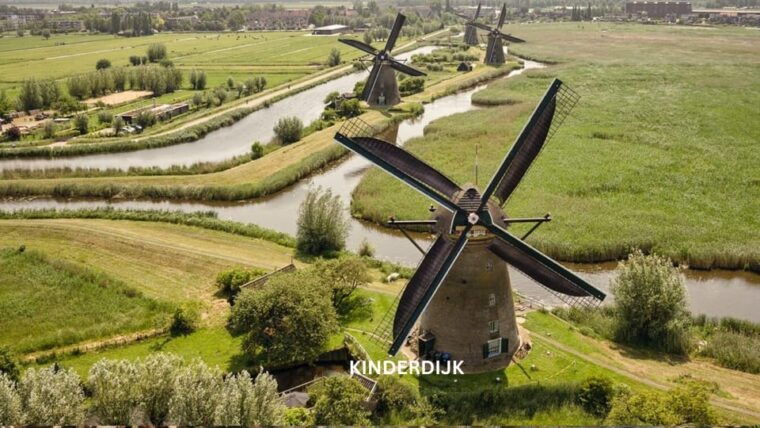 rotterdam-and-kinderdijk-daily-walking-and-boat-tour