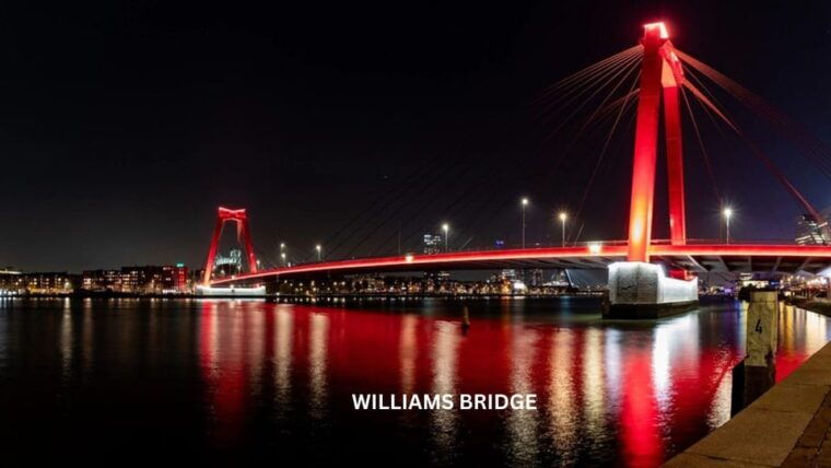 rotterdam-and-kinderdijk-daily-walking-and-boat-tour