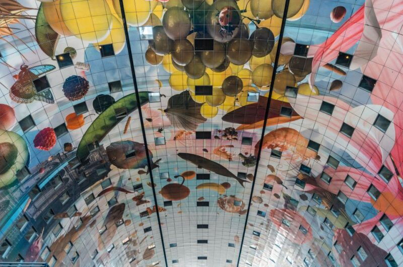 rotterdam-architectural-highlights-guided-walking-tour