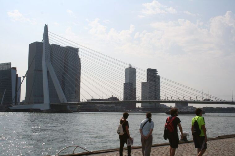 rotterdam-architectural-highlights-guided-walking-tour