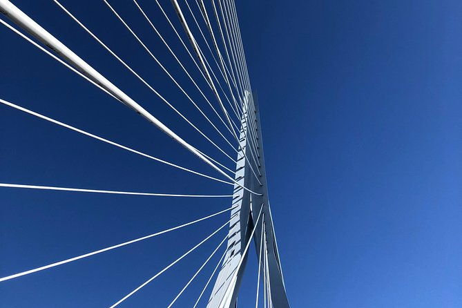 rotterdam-architecture-highlights-walking-tour
