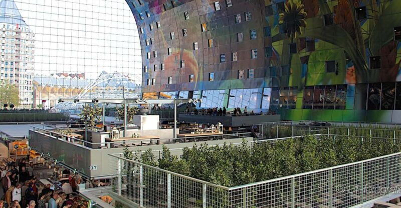 rotterdam-city-center-walking-tour