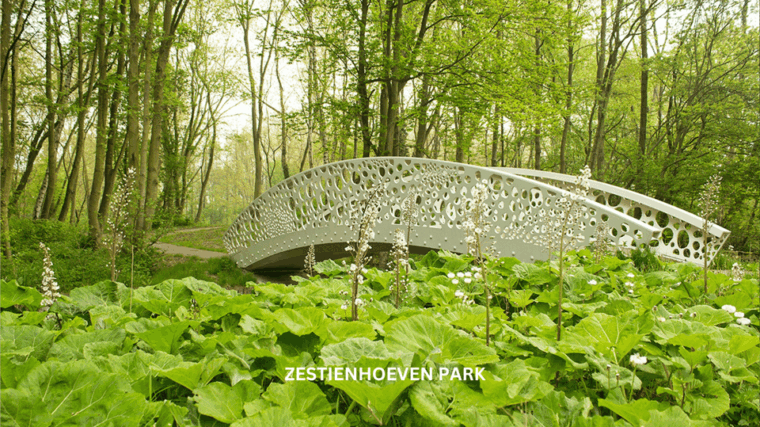 rotterdam-countryside-on-the-wheels-bike-tour-around-city