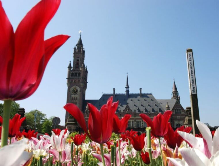 rotterdam-delft-the-hague-small-group-or-private-tour