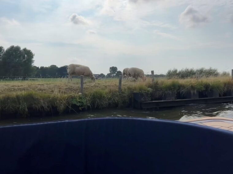 rotterdam-green-heart-midden-delfland-luxury-boat-tour