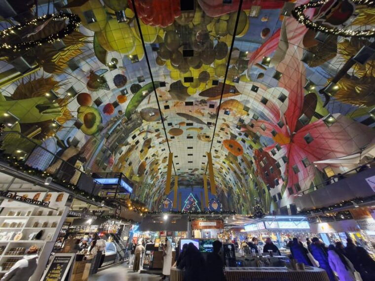 rotterdam-highlights-gems-walking-tour-with-dutch-local