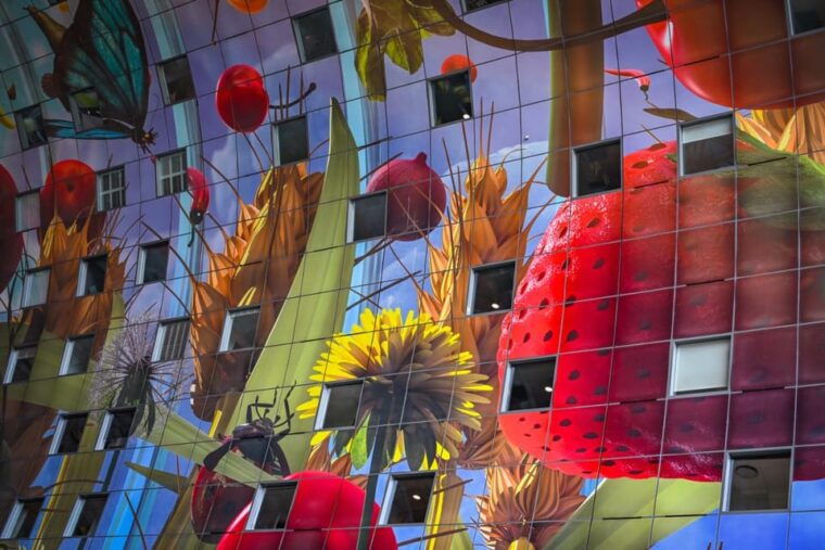 rotterdam-highlights-gems-walking-tour-with-dutch-local