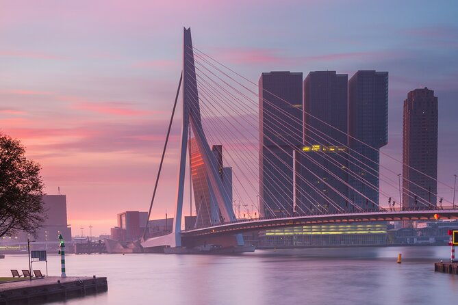 rotterdam-in-1-day-walking-tour-audioguide-in-7-languages