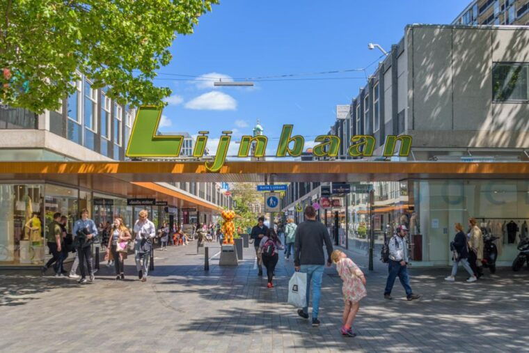 rotterdam-in-1-day-walking-tour-with-digital-guide