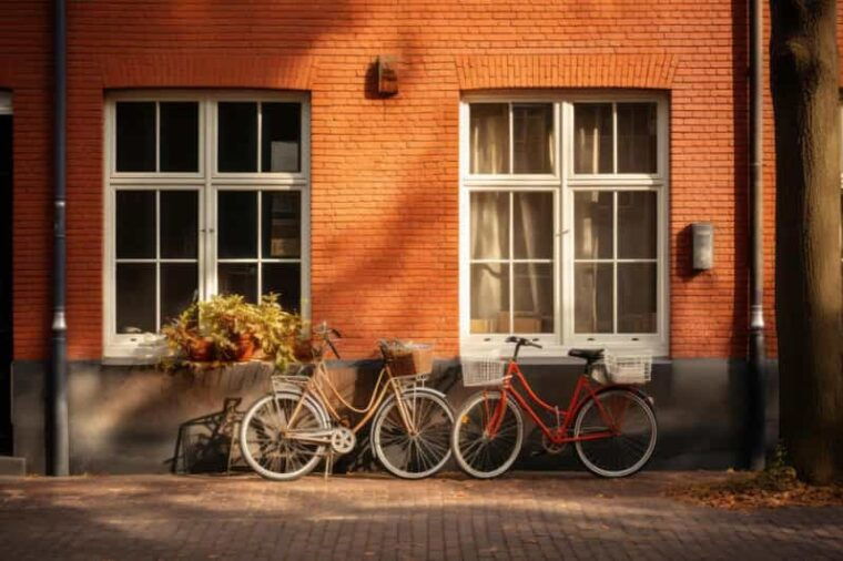 rotterdam-insta-perfect-walk-with-a-local