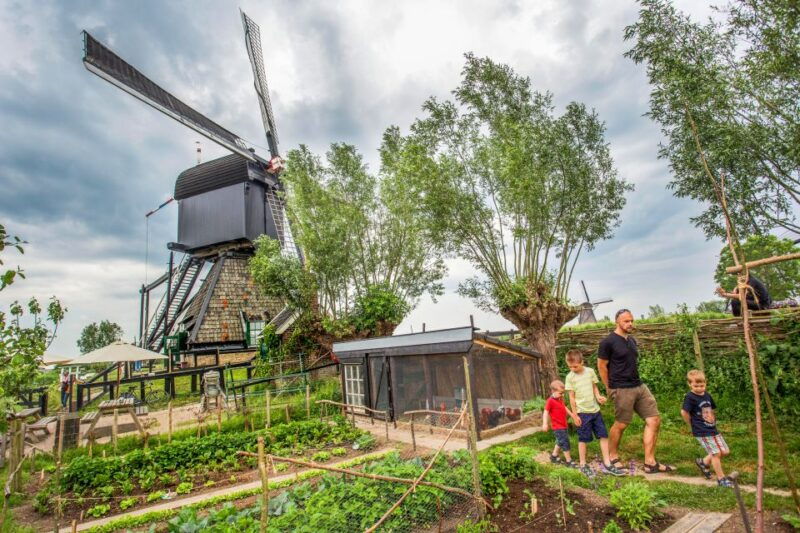 rotterdam-kinderdijk-unesco-world-heritage-entry-ticket
