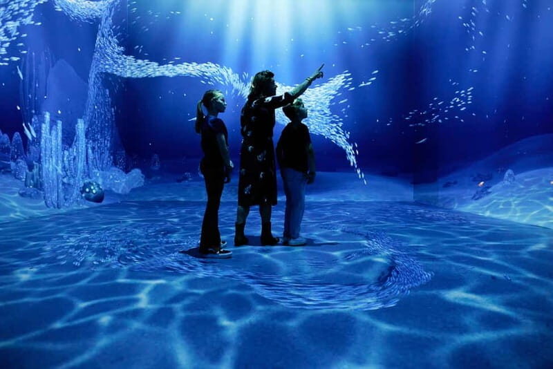 Rotterdam: "Remastered" Digital Art Audiovisual Experience - Key Points