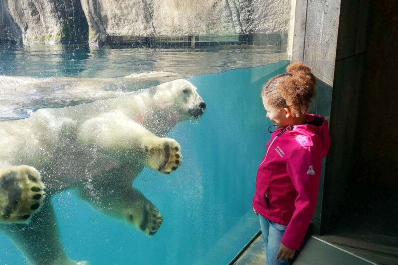 rotterdam-rotterdam-zoo-blijdorp-entry-ticket