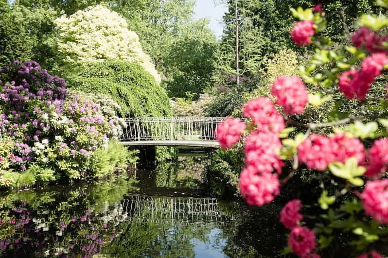 rotterdam-trompenburg-botanical-gardens-entry-ticket