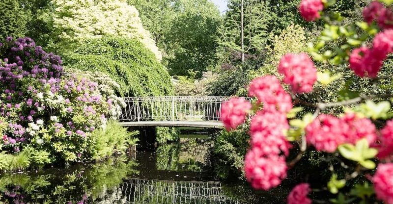 rotterdam-trompenburg-botanical-gardens-entry-ticket