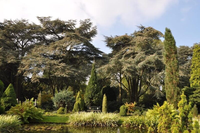 rotterdam-trompenburg-botanical-gardens-entry-ticket