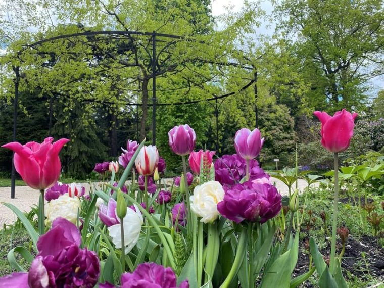rotterdam-trompenburg-botanical-gardens-entry-ticket