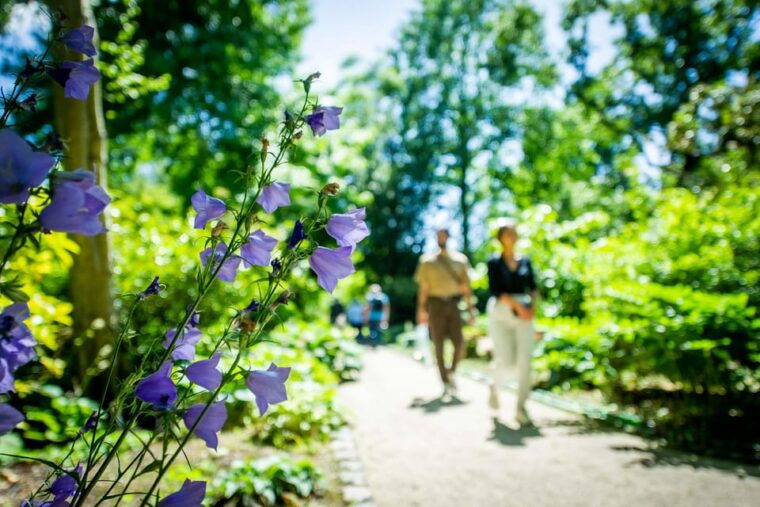 rotterdam-trompenburg-botanical-gardens-entry-ticket