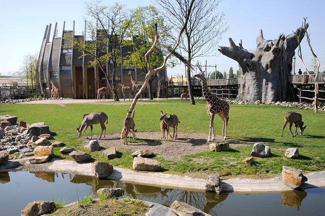 rotterdam-zoo-diergaarde-blijdorp-direct-entrance-ticket