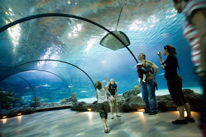 rotterdam-zoo-diergaarde-blijdorp-direct-entrance-ticket