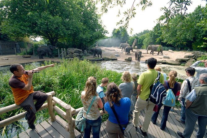 rotterdam-zoo-diergaarde-blijdorp-direct-entrance-ticket