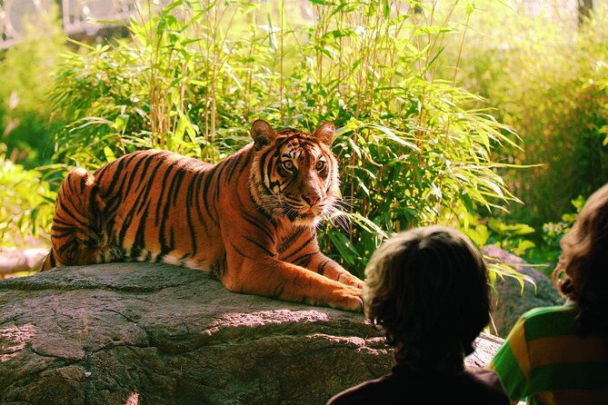 rotterdam-zoo-diergaarde-blijdorp-direct-entrance-ticket