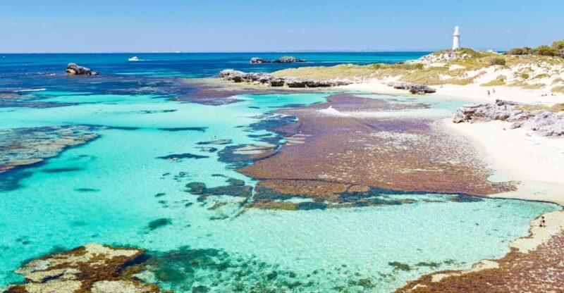 Rottnest Grand Island Package with Ferry, Tour & Light Lunch - The Itinerary: What You Can Expect