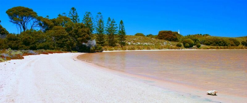 Rottnest Grand Island Package with Ferry, Tour & Light Lunch - Final Thoughts: Who Should Consider This Tour?