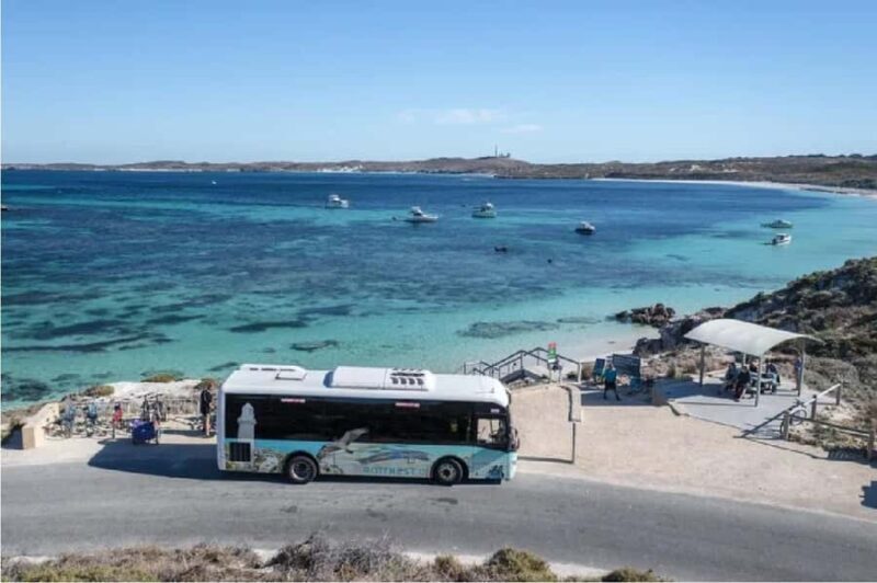 Rottnest Island 1.75 Hour Bayseeker Island Tour - Key Points