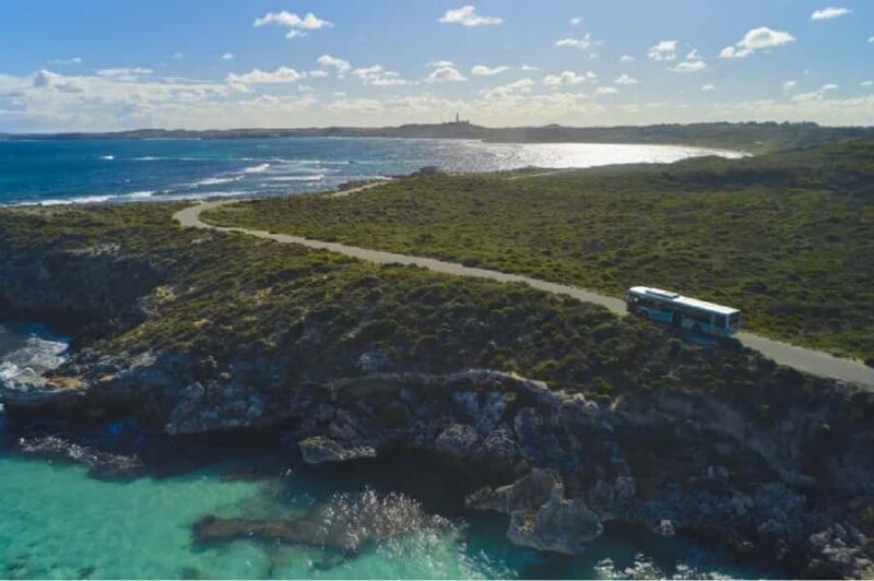 Rottnest Island 1.75 Hour Bayseeker Island Tour - Discovering Rottnest Island in Under Two Hours