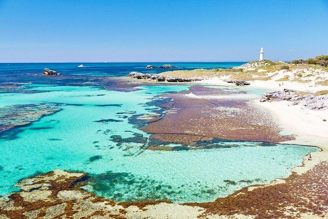 Rottnest Island Bayseeker Day Trip from Fremantle - A Detailed Look at the Tour Experience