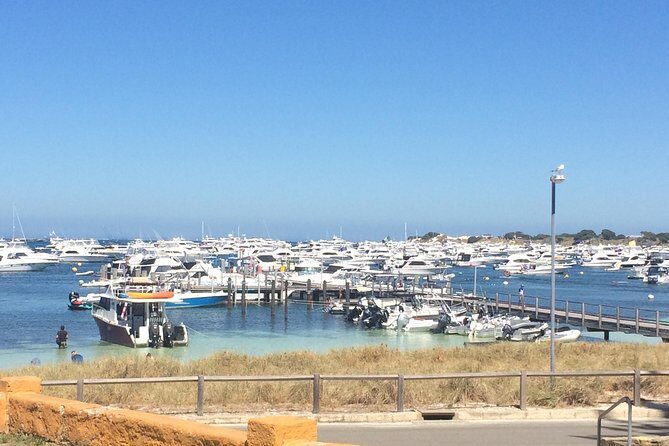 Rottnest Island ECO E Bike Tour - Practical Details and Value
