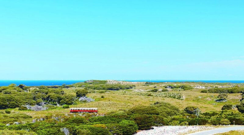 rottnest-island-grand-bus-train-tour
