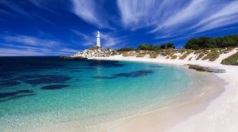 rottnest-island-grand-bus-train-tour