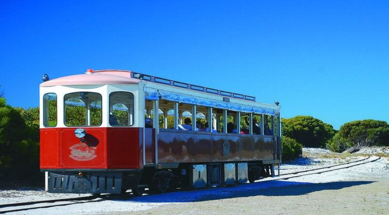 rottnest-island-grand-bus-train-tour