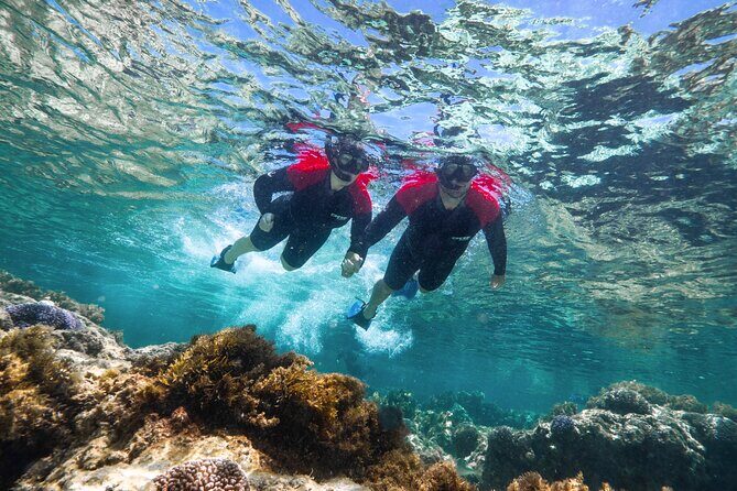 Rottnest Island Guided Snorkel Boat Experience - Price and Value Analysis