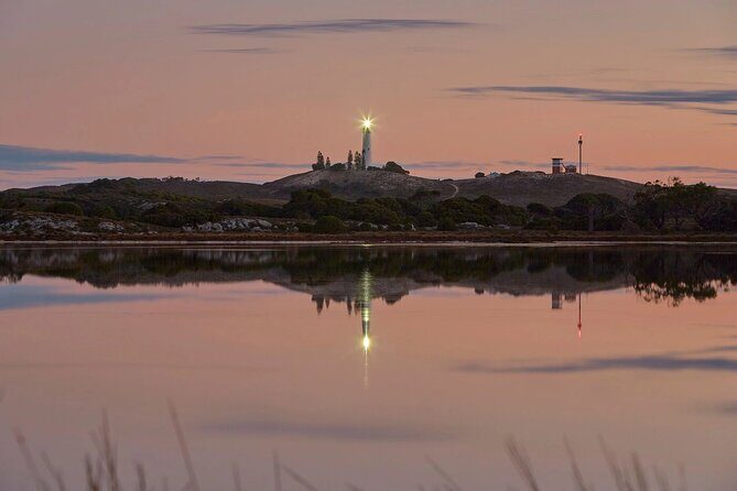Rottnest Island Seals Sunset and West End Bus Tour - An In-Depth Review of the Experience
