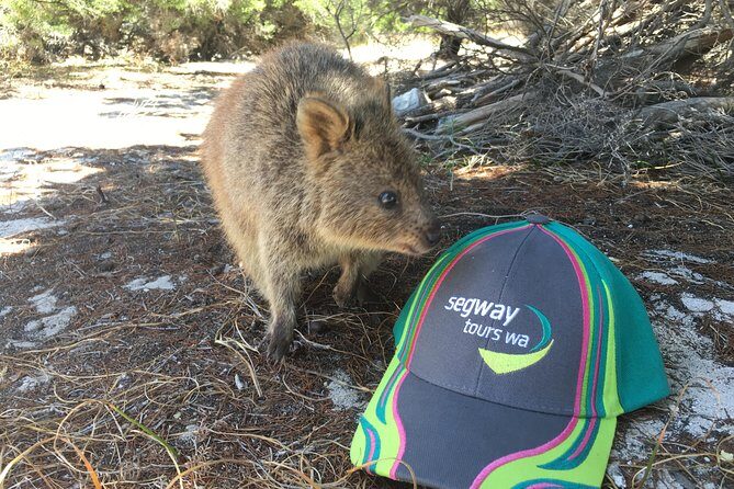 Rottnest Island Segway Tour: Fortress Adventure Tour - Practical Details: What You Need to Know