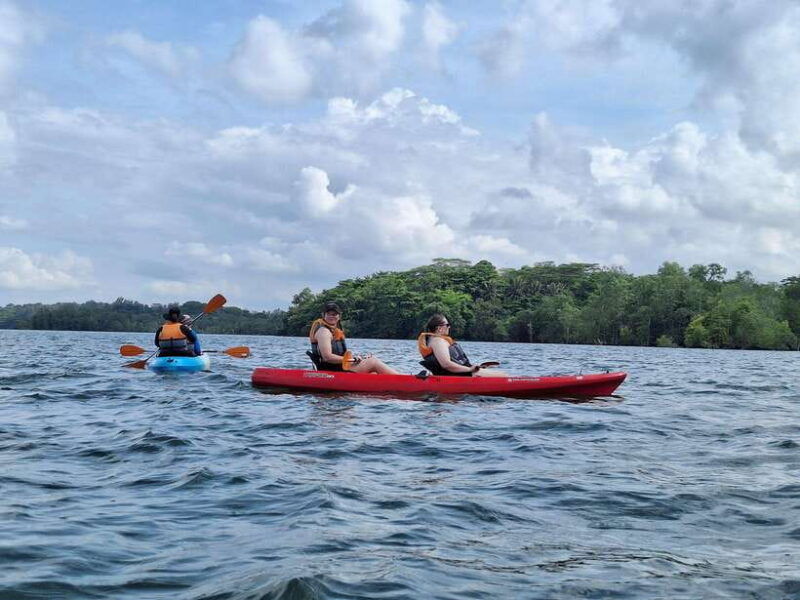 round-ketam-kayaking-at-pulau-ubin